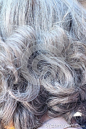 White Hairs on the back of the elderly. Stock Photo