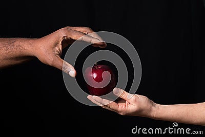 White hand gives apple to African hand Stock Photo
