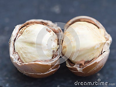 White Hazelnuts cores Stock Photo