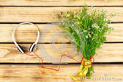 White headphones and a bouquet of field daisies Stock Photo