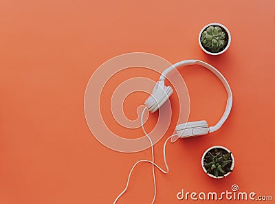 White headphones on orange background with cactus. Stock Photo