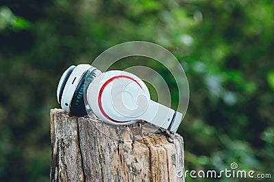 White headphones are suspended in the timber. Green area And rel Stock Photo