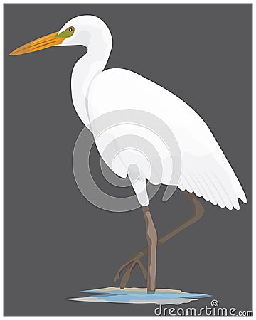 White heron on grey background Vector Illustration