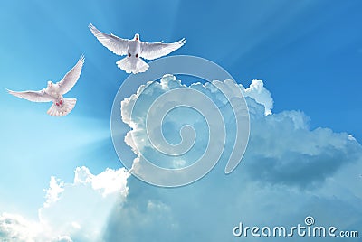 White Holy Doves flying in cloudy sky Stock Photo
