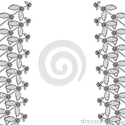 White horehound, border frame Vector Illustration