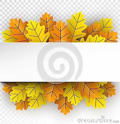 White horizontal line over autumn golden oak leaves Vector Illustration