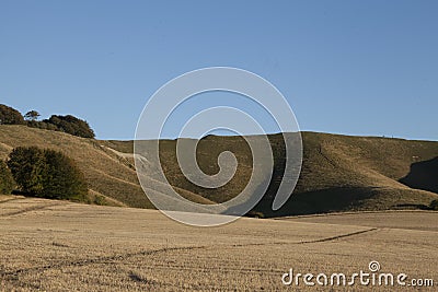 The white horse of cherhill close to avebury Stock Photo