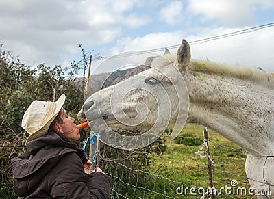 White horse in the green meadow receiving a carrot from his cowgirl with the white cowboy hat fed with his mouth directly mouth to Stock Photo