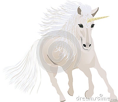 White Horse Unicorn Vector Illustration