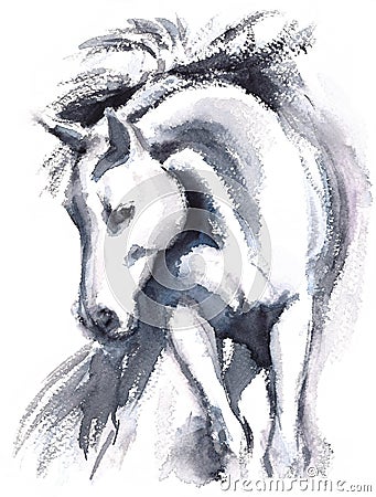 White Horse Watercolor Animal Illustration Hand Painted Cartoon Illustration