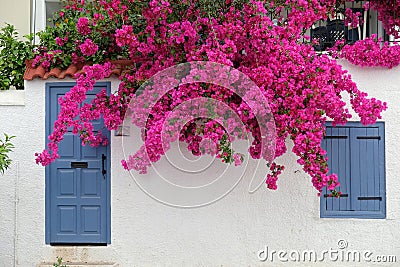 White House With Blue Door and Pink Bougainvillea, Greece Stock Photo