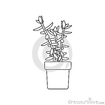 White house plants in a pot. Interior Scandinavian design. Design element. Vector Illustration