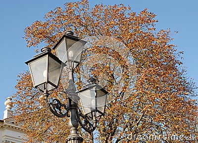 White house with a tree with colored leaves near Padua located in Veneto (Italy) Stock Photo