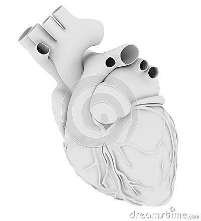 White human heart isolated on white background Cartoon Illustration