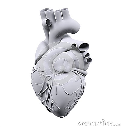 White human heart isolated on white background Cartoon Illustration