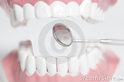 White human teeth model and dental mirror instrument on white background. Stock Photo