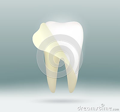 White human tooth Vector Illustration