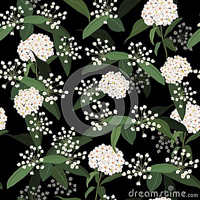 White Hydenyear in the dark garden night pattern seamless flow Stock Photo