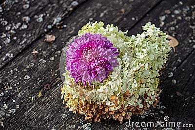 White Hydrangea And Purple Chrysanthemum On The Board With Moss Stock Photo