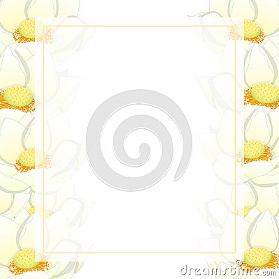 White Indian lotus Banner Card Border. Nelumbo nucifera,sacred lotus, bean of India, Egyptian bean. National flower of India Vector Illustration