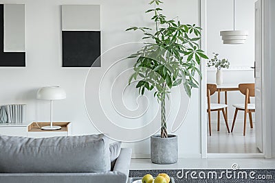 White industrial lamp on console table in bright living room interior with plants and grey comfortable sofa Stock Photo