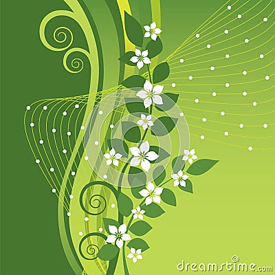 White Jasmine flowers on green swirls background Vector Illustration