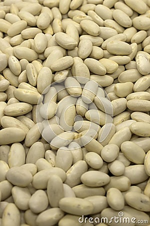 White Kidney Beans Stock Photo