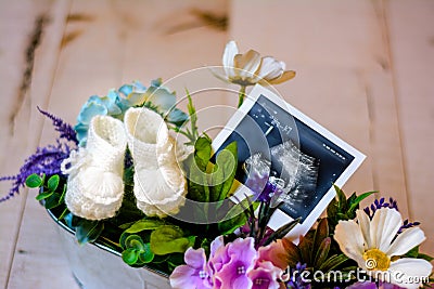 White knitted booties and ultrasound picture, baby girl waiting concepts Stock Photo