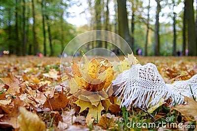 White knitted delicate scarf autumn leaves Stock Photo