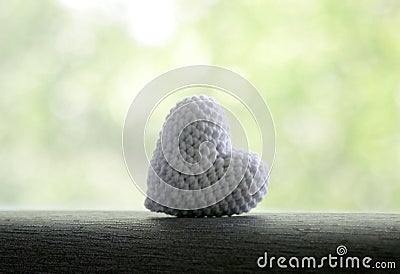 A white knitted heart lies on a gray area on a nature white and green background Stock Photo