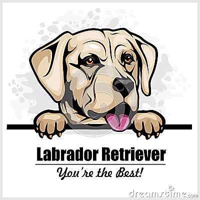 White Labrador - vector peeking dog head, dog breed Vector Illustration