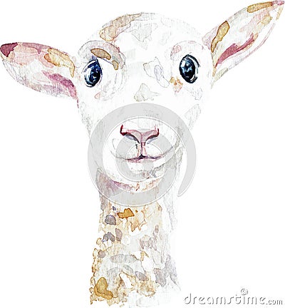 White lamb. Close-up of ship head. Watercolor illustration isolated on white background Cartoon Illustration