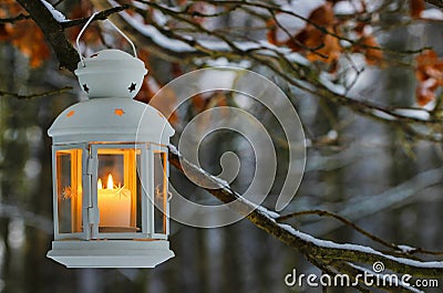 White lantern hanging on fir branch in forest. Stock Photo