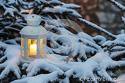 White lantern standing on fir branch in forest Stock Photo