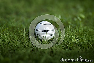 White leather Cricket ball resting on a green grass cricket ground pitch Stock Photo