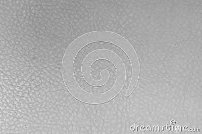 White leather texture background. Skin pattern for manufacturing of luxury shoes, clothes, bags and fashion. Picture for Stock Photo
