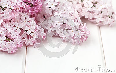 White Lilac Flowers Bouquet Stock Photo