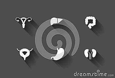 White long shadow human internal organs icons Vector Illustration