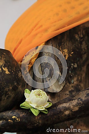 White lotus fold blooming on hand of Buddha disciple statue Stock Photo