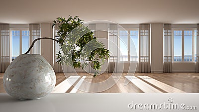 White mat table shelf with round marble vase and potted bonsai, green leaves, over empty room, parquet, panoramic windows, modern Stock Photo