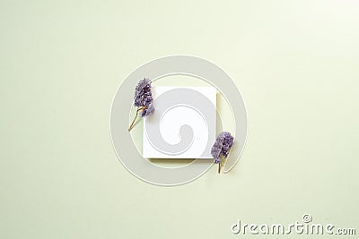 White memo card with purple flower on mint background. top view, copy space Stock Photo