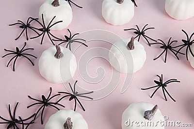 white mini pumpkins aligned symmetrically in the middle of a spider infestation Stock Photo