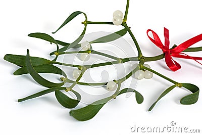 White mistletoe Stock Photo