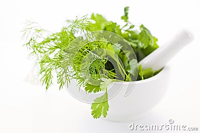 Mortar with herbs Stock Photo