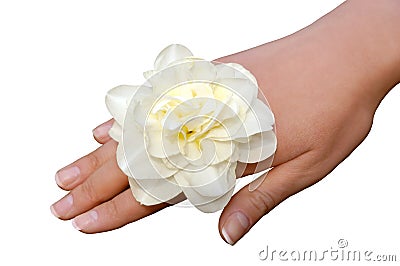 White narcissus on woman hand isolated Stock Photo