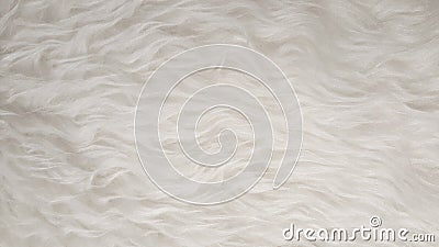 White Natural fluffy flat sheep pet skin texture backgrounds, material for carpet home decoration, leather textile industry Stock Photo