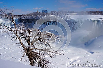 White Niagara Falls and Trees Frozen in Winter Editorial Stock Photo