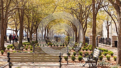 Waterfront Park, Charleston South Carolina SC Editorial Stock Photo