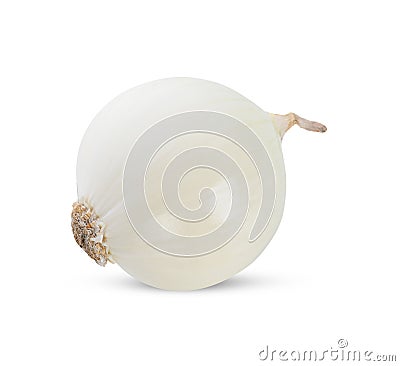 White onion on white background Stock Photo