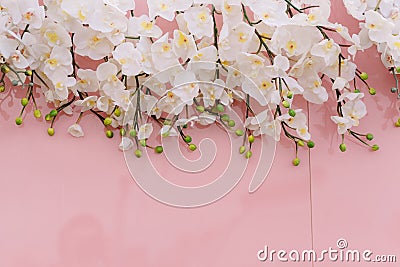 White orchid flowers on the pink background Stock Photo